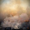 Alt, Jane Fulton – Burn No. 49